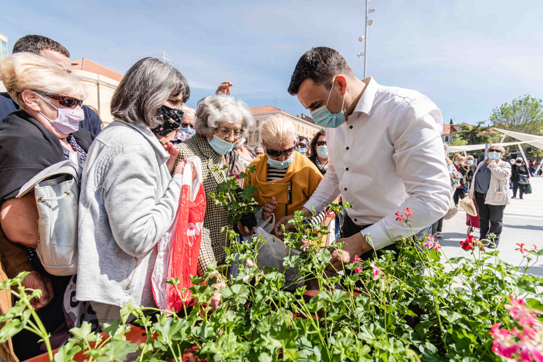 Umirovljenički stampedo za sadnice đirana na Poljani: ‘Gužva je veća za cvijeće nego za cijepljenje’