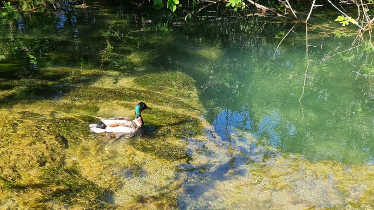 Proveli smo Majčin dan na Skradinskom buku uz ljepote Majke prirode
