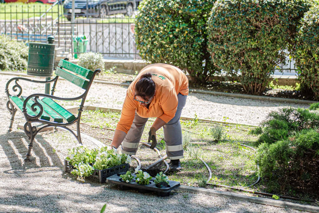 U šibenskom 'dnevnom boravku' sadi se cvijeće i uređuje okoliš: Perivoj Roberta Visianija dočekat će ljeto u punom sjaju 