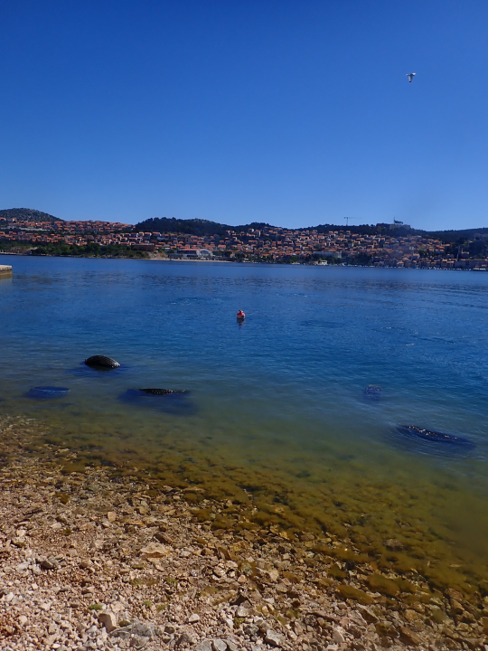 Ronioci objavili što su sve zatekli pod morem na Marinskoj: Gume, gume, gume... i jedan krov!
