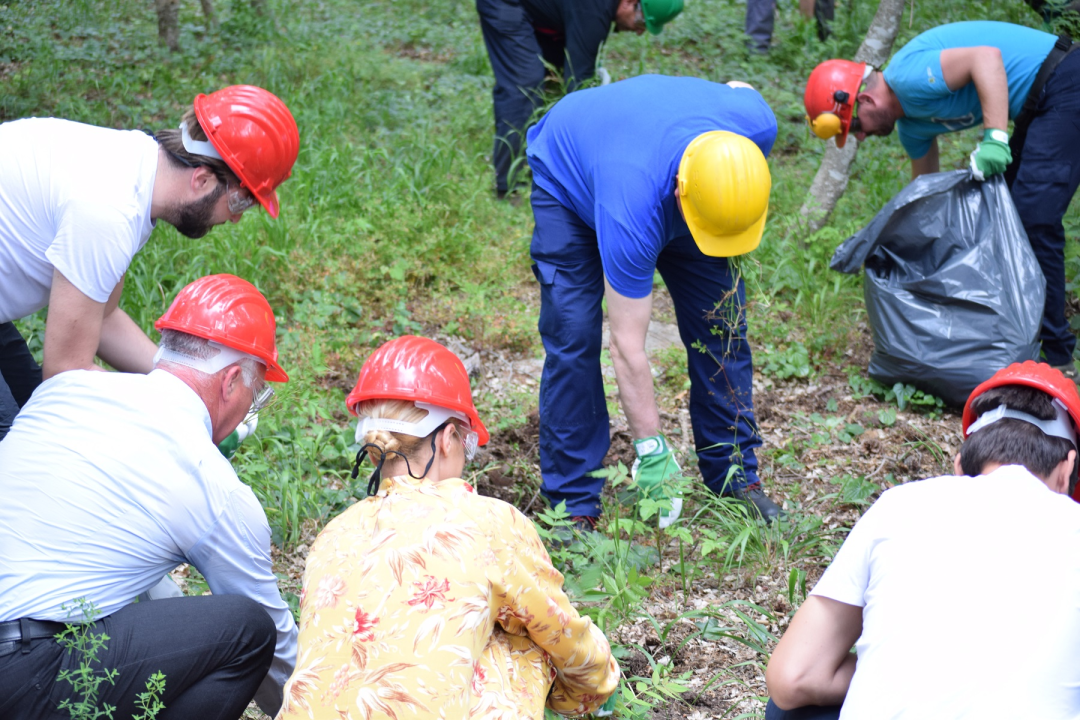Na Krki traje borba protiv pajasena, strane vrste koja 'guta sve pred sobom': Plan ga je ukloniti iz parka 
