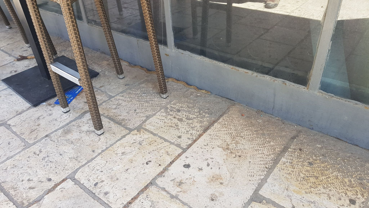 Zmija dogmizala do štekata na Baldekinu: 'Odmah je postala atrakcija!'