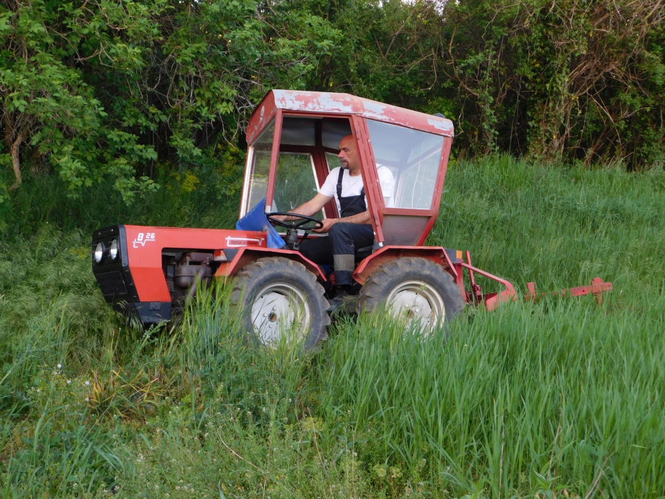 Tko je zapravo Marko Jelić? Obiteljski čovjek, znanstvenik, vinogradar i zaljubljenik u svoj kraj…