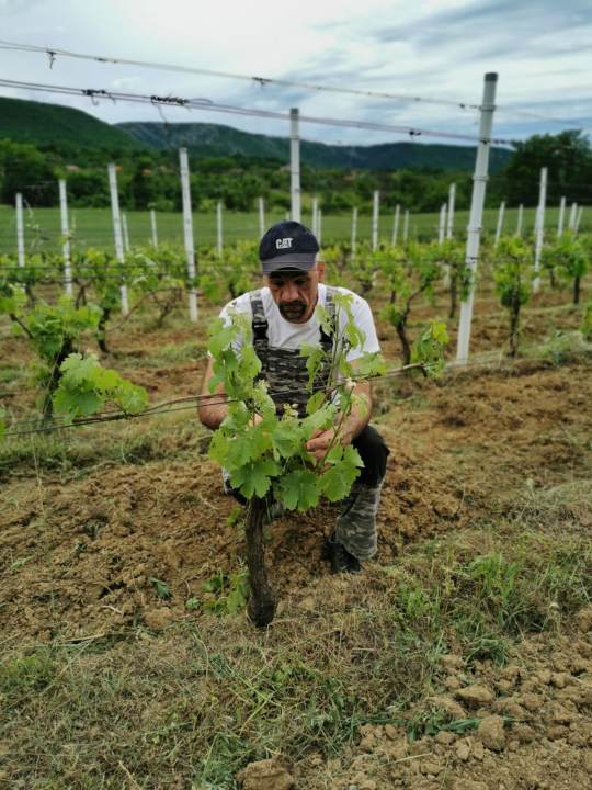 Tko je zapravo Marko Jelić? Obiteljski čovjek, znanstvenik, vinogradar i zaljubljenik u svoj kraj…
