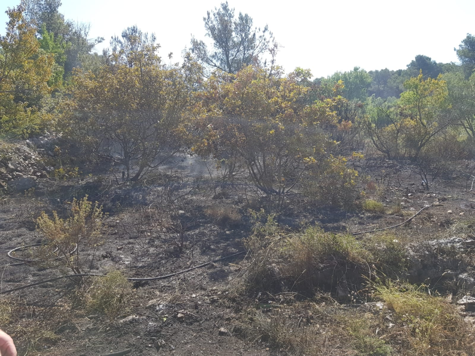 Spaljivanje travi u Brodarici otelo se kontroli: Vatra ipak nije stigla do kuća i borove šume