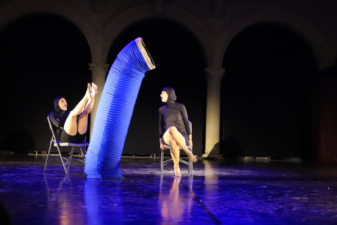 Izraelski plesači na MDF-u: 'Podsjećali su me na moj mozak tijekom testa iz matematike'