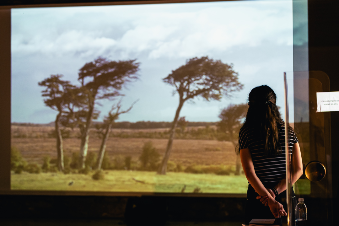 Izložba ‘More, ljudi, obala’ donosi konceptualne radove i snažne poruke o depresiji, migrantima...