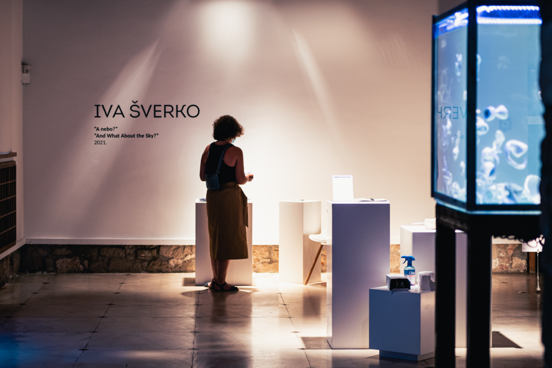 Izložba ‘More, ljudi, obala’ donosi konceptualne radove i snažne poruke o depresiji, migrantima...