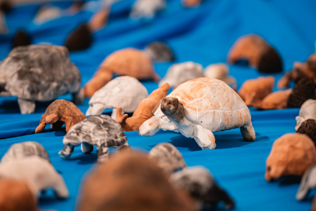 ‘Žabe’ okupirale sv. Krševan: Na zidu su psihodelične, na podu ih je stotine od terakote