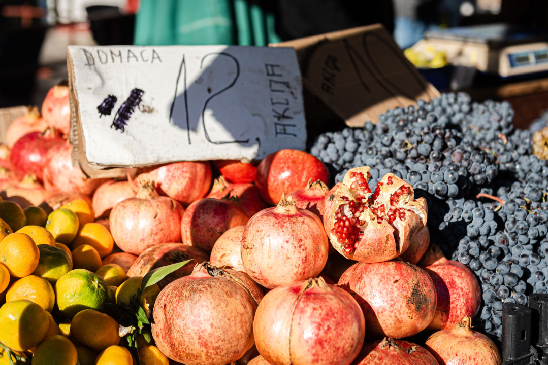 Od ogromnih kokota i mola sa šibenske peškarije dalo bi se skuhati juhu za omanji bataljun  