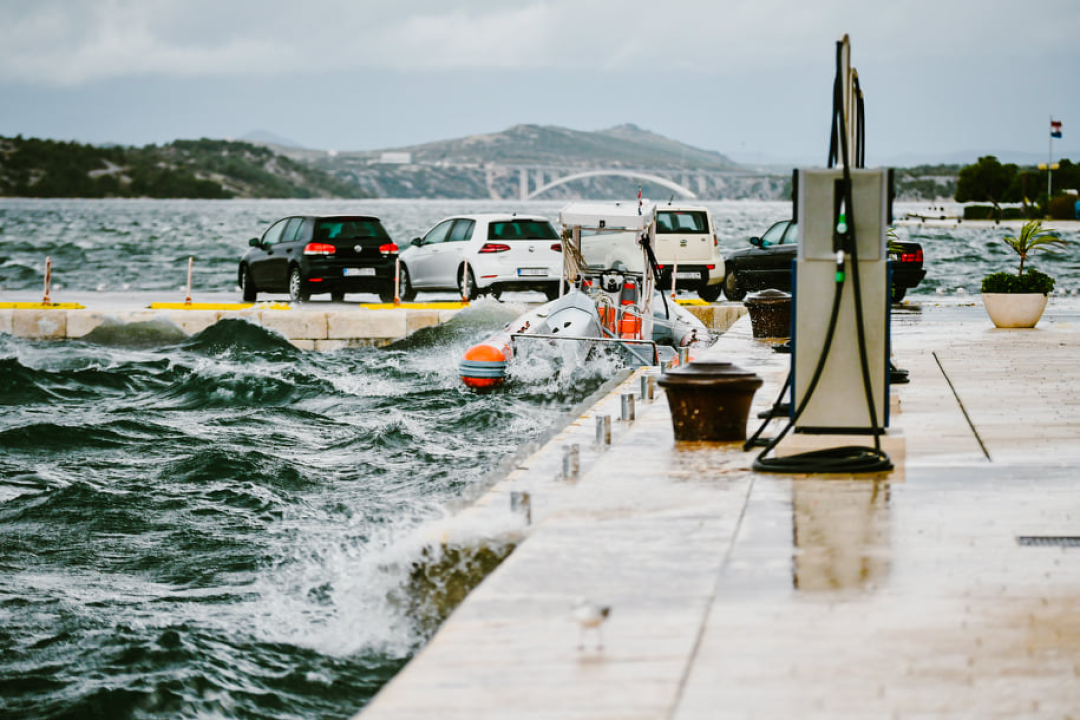 Jako jugo smeta svima: Labudovi se prebacili na rivu, nema odmora na uzburkanom moru 