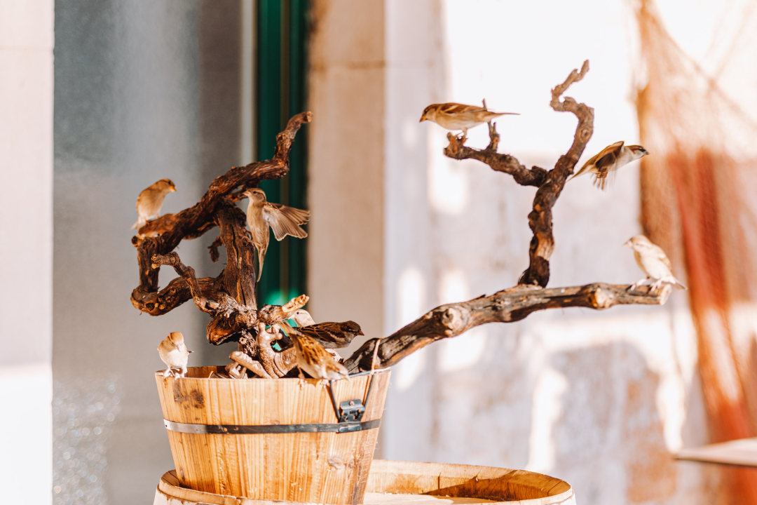 Advent u Arije uz glazbu uživo svakog vikenda donosi odličnu ponudu blagdanskih jela!   