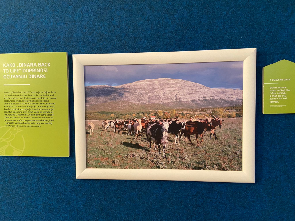 Na Međunarodni dan planina otvorena izložba koja slavi Dinaru i ljude koji od nje žive