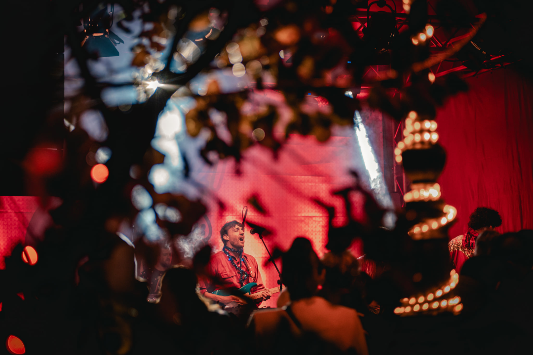 Svemirko i PARK kontra atmosferskih neprilika: U đardinu je sinoć bilo ludilo, pogledajte atmosferu  