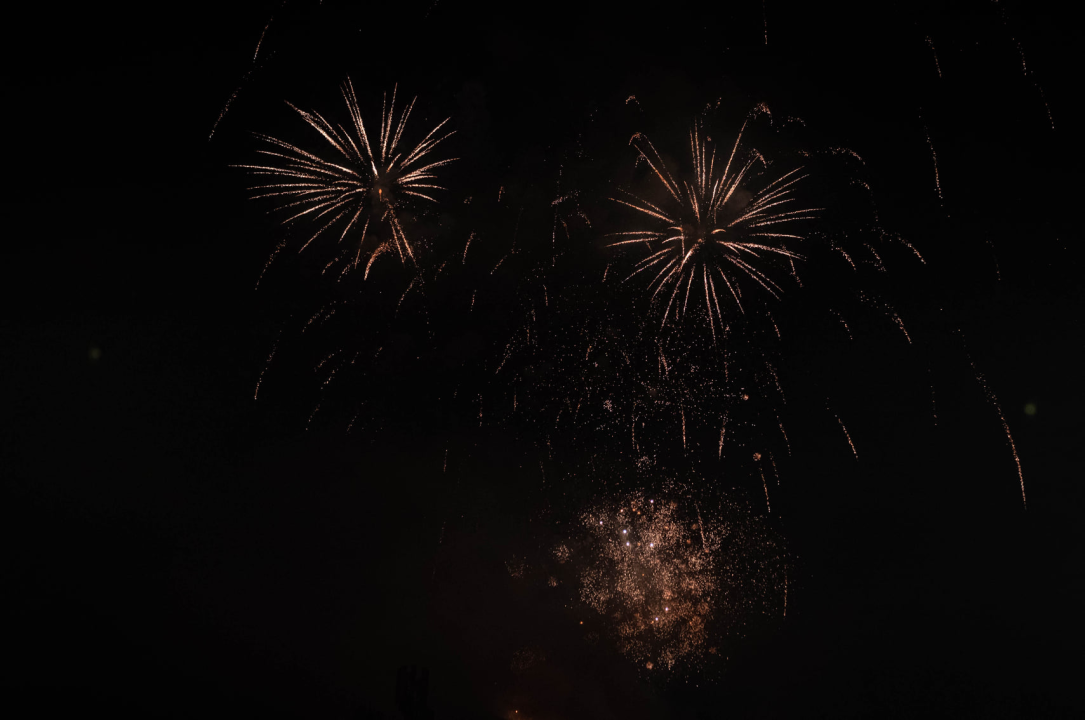 Đardin je i za doček Nove godine bio pun, a vatromet je dodatno začinio stvar