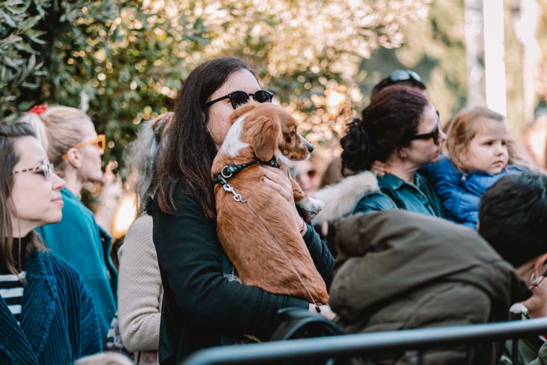 Sve što je lijepo, kratko traje: TBF napunio đardin na zadnjem koncertu Adventure 