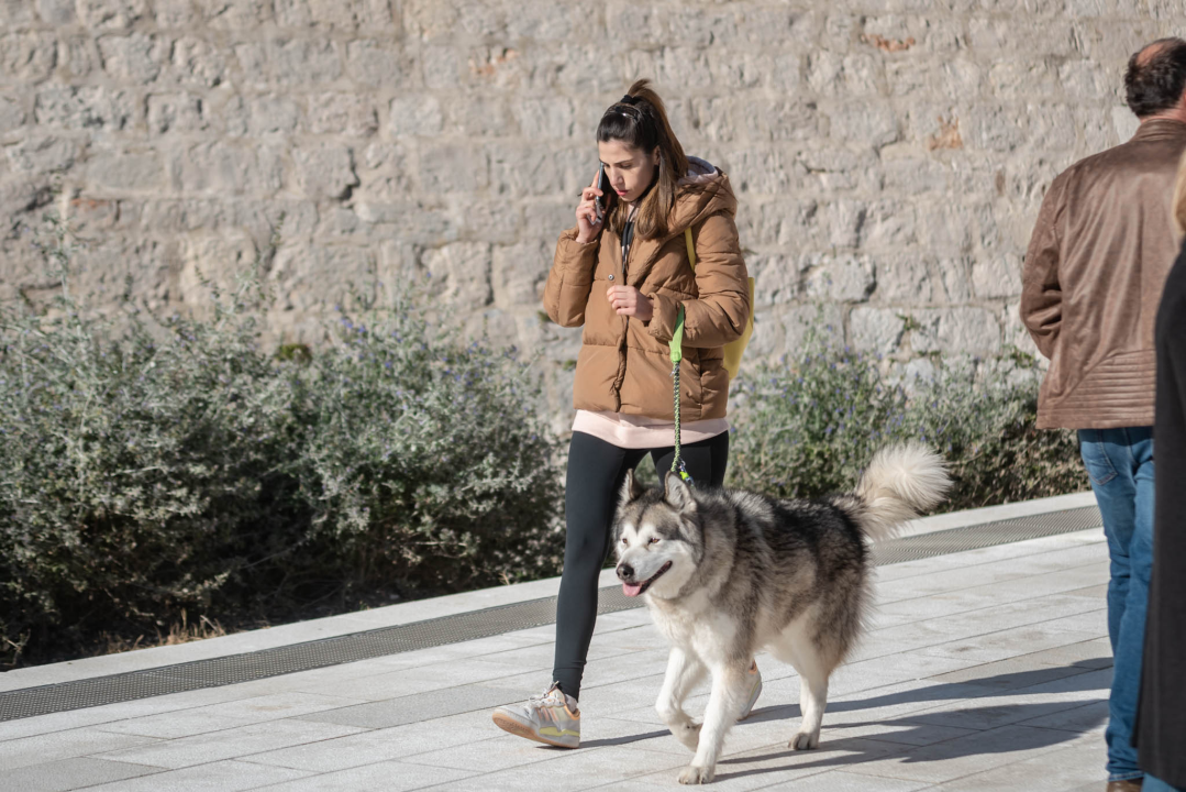 FOTO Đir po gradu, srijeda 9. veljače