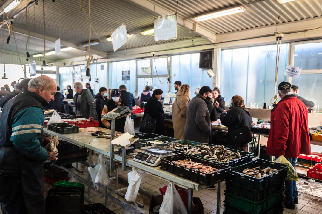 Fotogenična ponuda na šibenskoj peškariji: Grmalj, kokoti i nekoliko kolateralnih žrtava