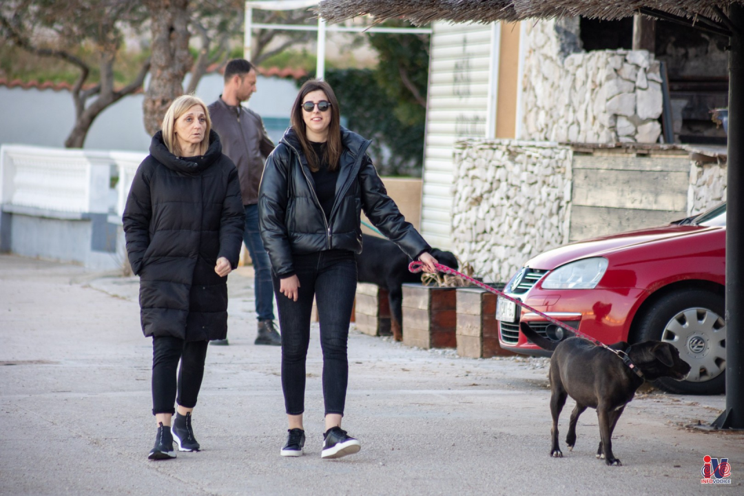 Proljeće u veljači, lipo vrime, a ko to more platit: Foto đir po Vodicama