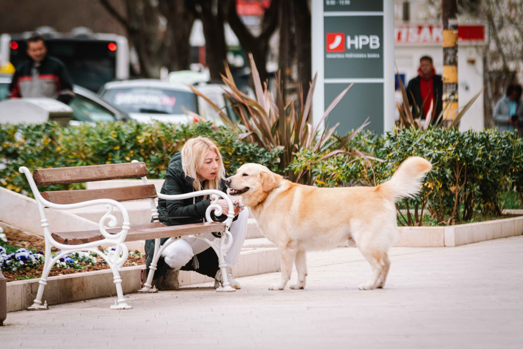 FOTO Đir po gradu, srijeda 30. ožujka