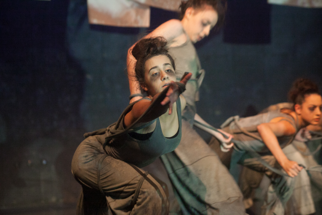 Travanj u znaku plesa: Sjene organiziraju radionice, predstave… Evo programa  