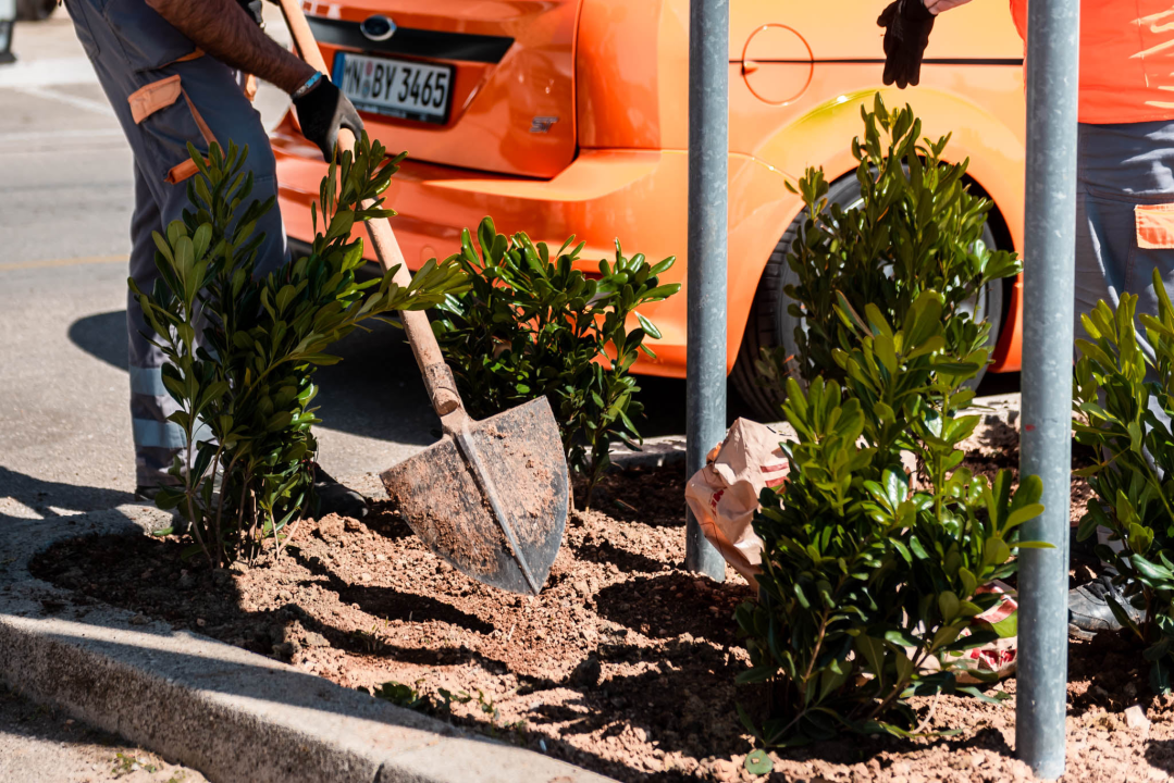 Riva do sezone u kompletno novom ruhu: Nakon zamjene rasvjete počelo uređenje zelenih površina  