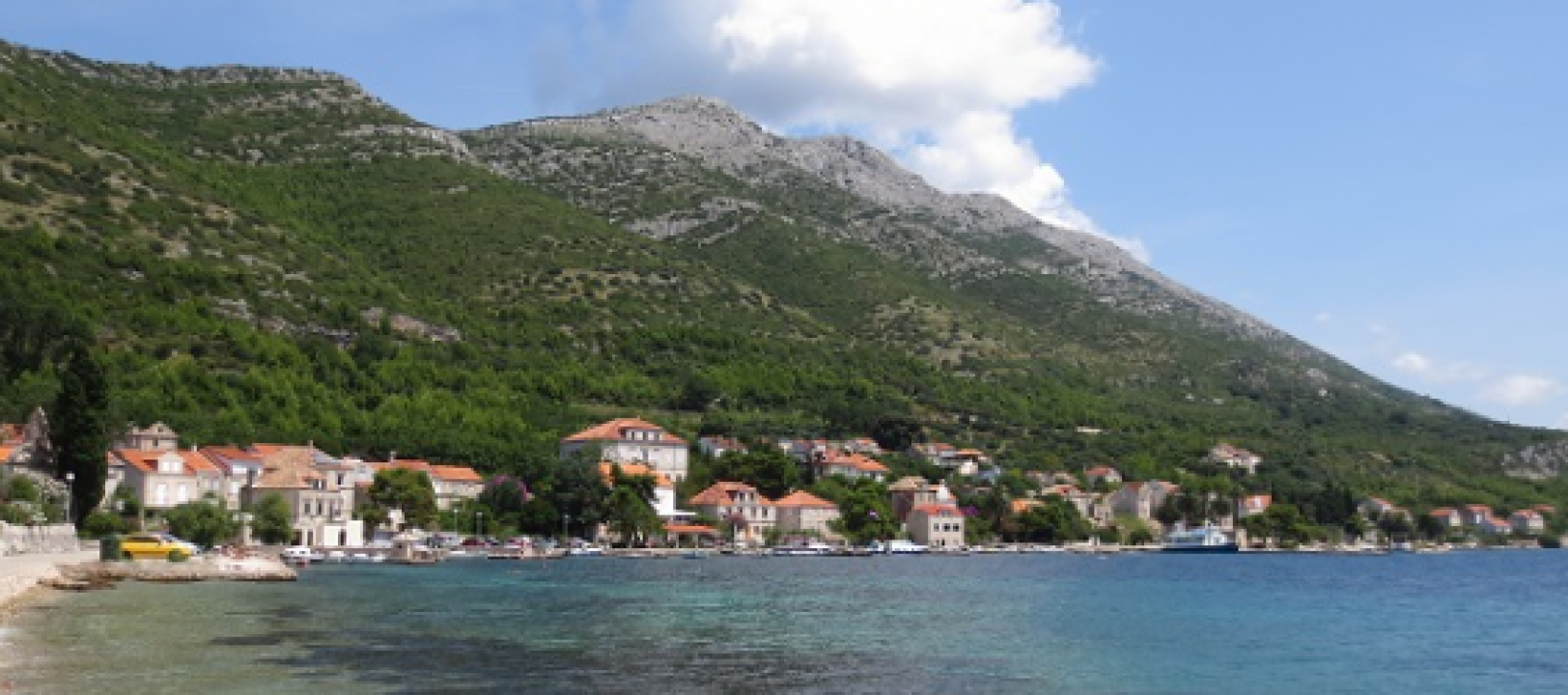 Od Puljana do Burnuma: Na Krka-polumaratonu trčali maratonci iz 15 zemalja