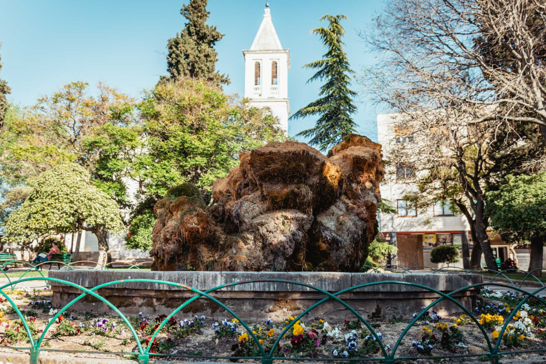 Kako je sedra narasla više od tri metra: Fotografije posljednjih šest godina pokazuju zašto joj treba spas