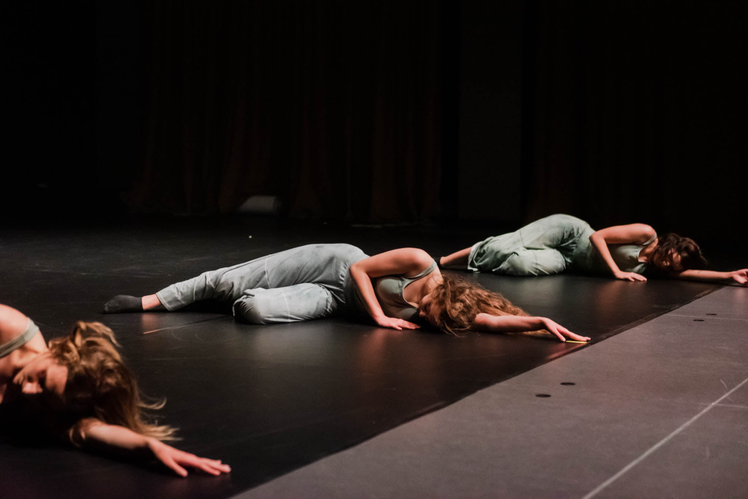 ‘Sjene‘ ponovo izvele predstavu 'Madness' prema knjizi Šibenčanina Dina Seksa  