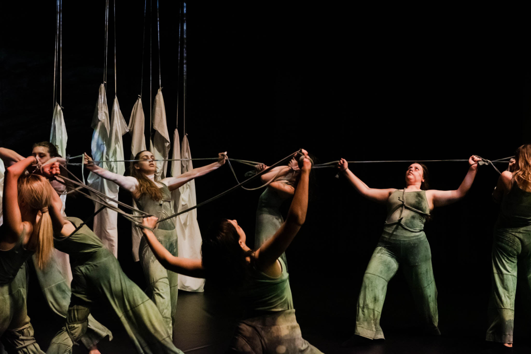 ‘Sjene‘ ponovo izvele predstavu 'Madness' prema knjizi Šibenčanina Dina Seksa  