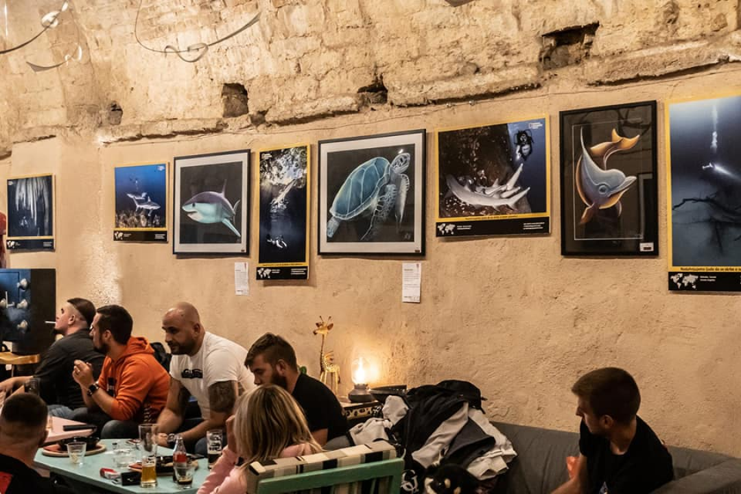 U Azimutu se družili šibenski ronioci i eko-aktivisti: 'Zvali su nas budalama i smećarima, ali sve nas je više'