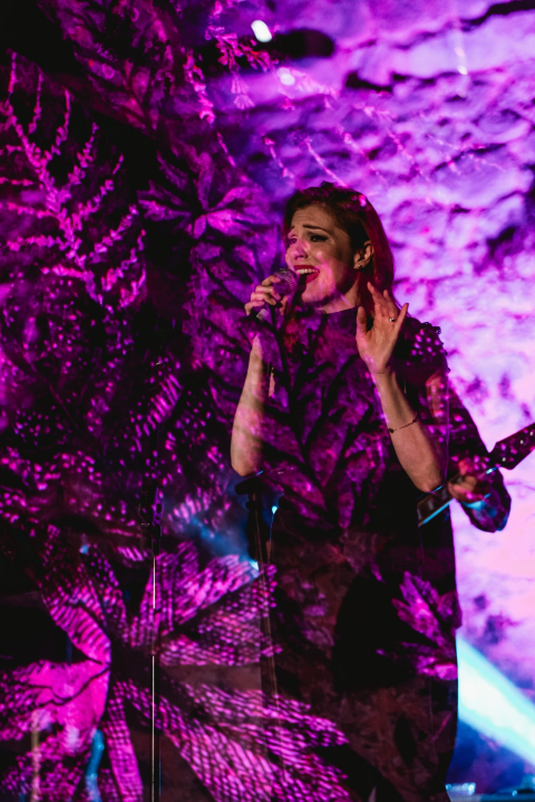 Prvi koncert na sv. Ivanu: Šibenčani uživali u hitovima grupe Pavel