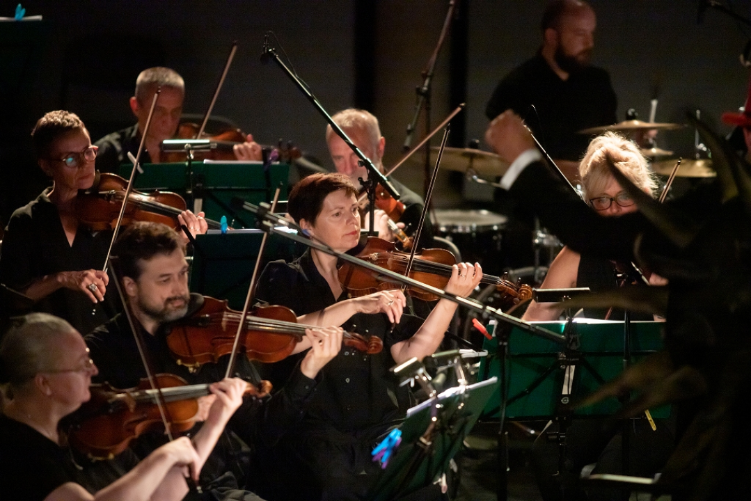 Fantastičan dan očekuje nas i danas na MDF-u