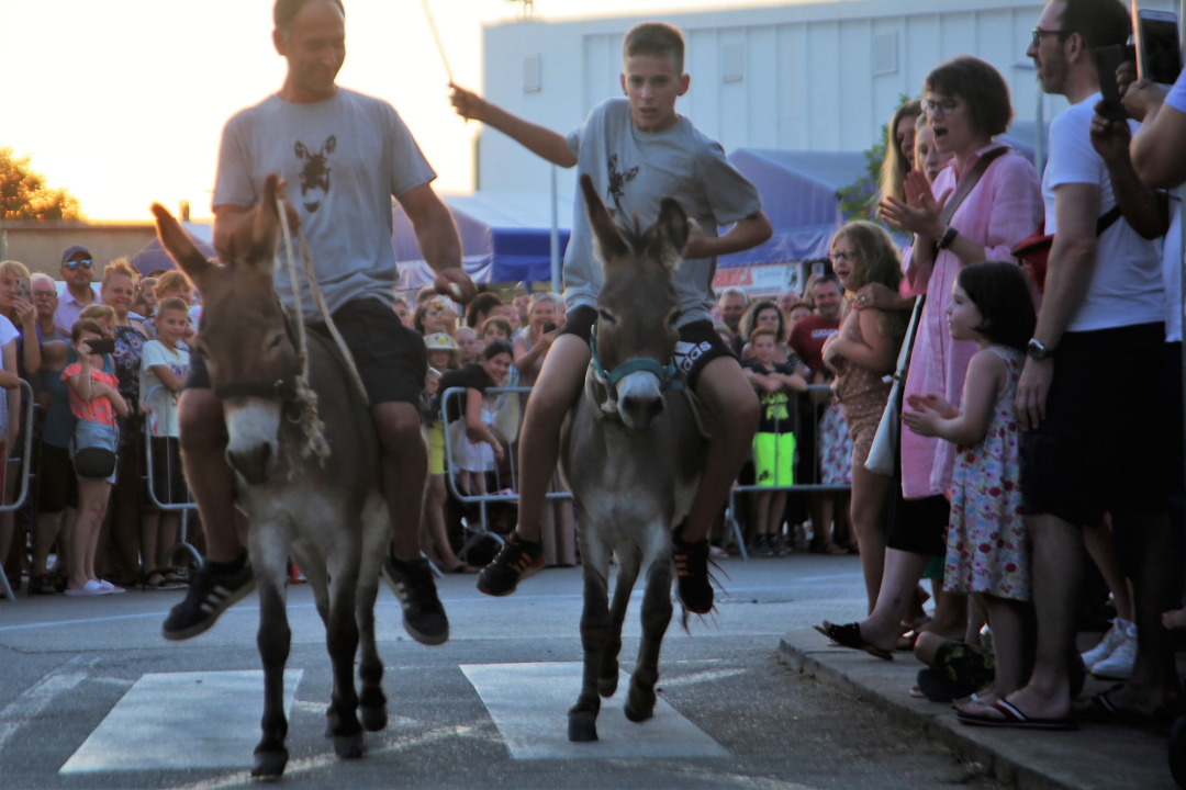 Deva i magarac Grgo pobjednici su trke tovara u Pirovcu