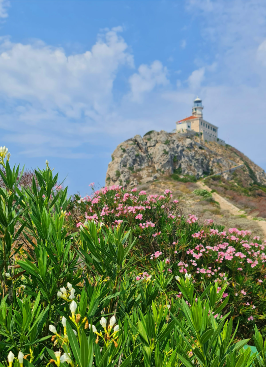 Bili smo na Palagruži, Lastovu, Proizdu i Biševu: Plaže na kopnu su ok, ali ništa se ne može usporediti s jedrenjem oko dalmatinskih otoka