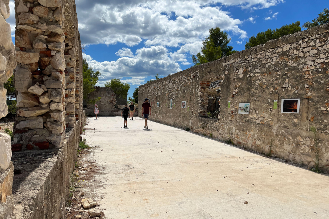 Izložba na brdu Raduč oživjela povijest Murtera