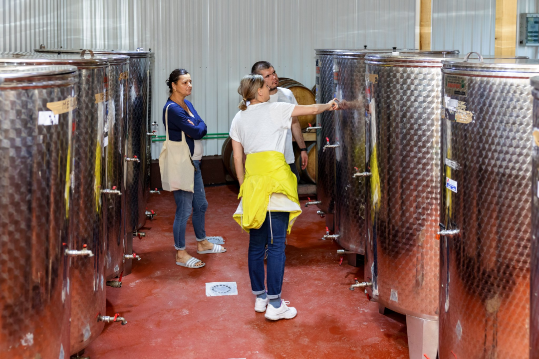 Upisi bez državne mature na stručne studije Veleučilišta „Marko Marulić“ u Kninu na trećem upisnom roku