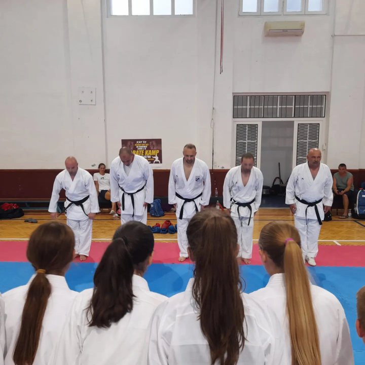 U Šibeniku održan Summer karate camp: 'Dobra promocija za grad i našu djecu koja se bave karateom'