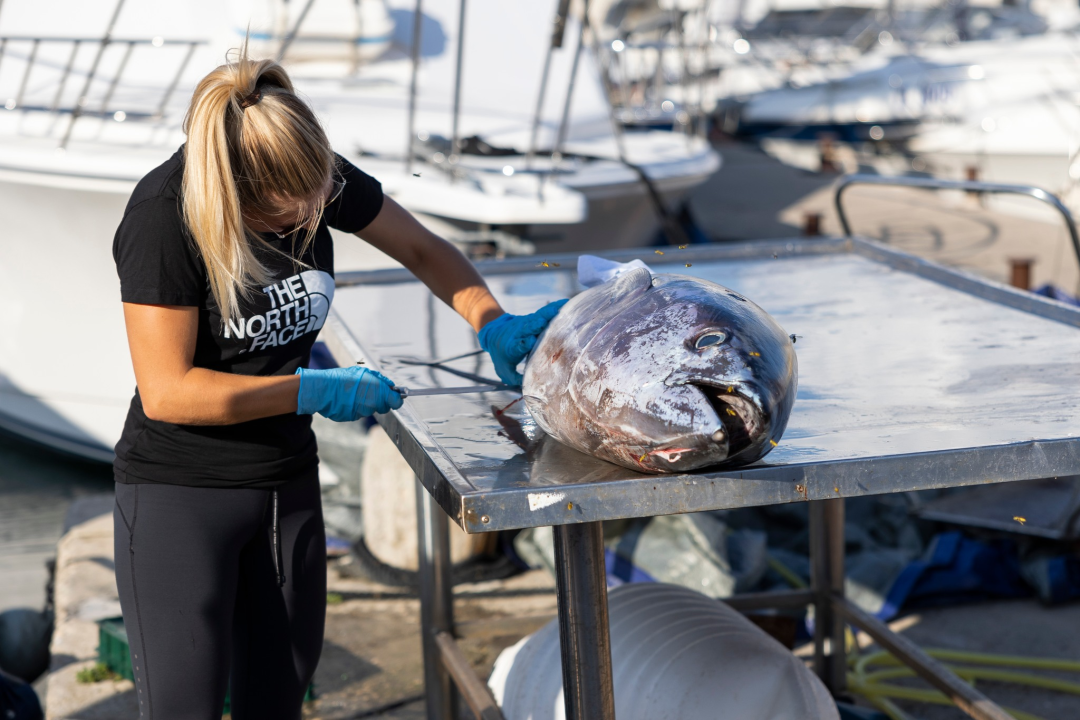 Posjetite besplatnu radionicu o zaštiti ribe i očuvanju ribljeg fonda u Jezerima!