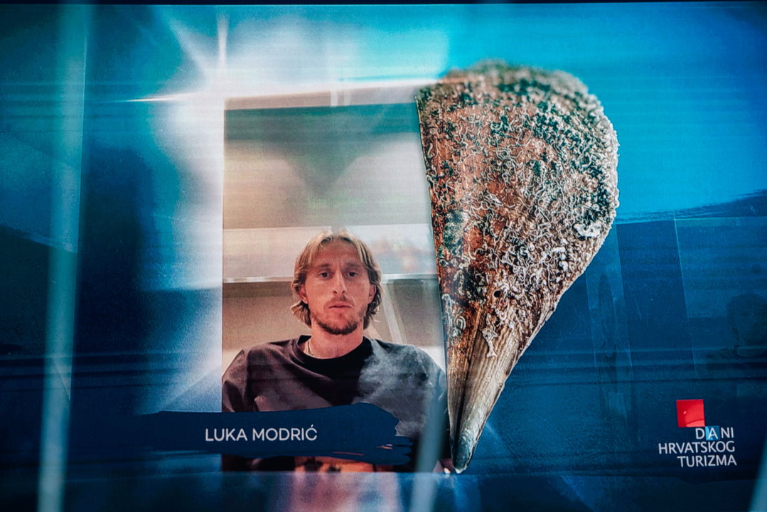 Arsen kulturna atrakcija godine, Dani Slamiću nagrada za životno djelo