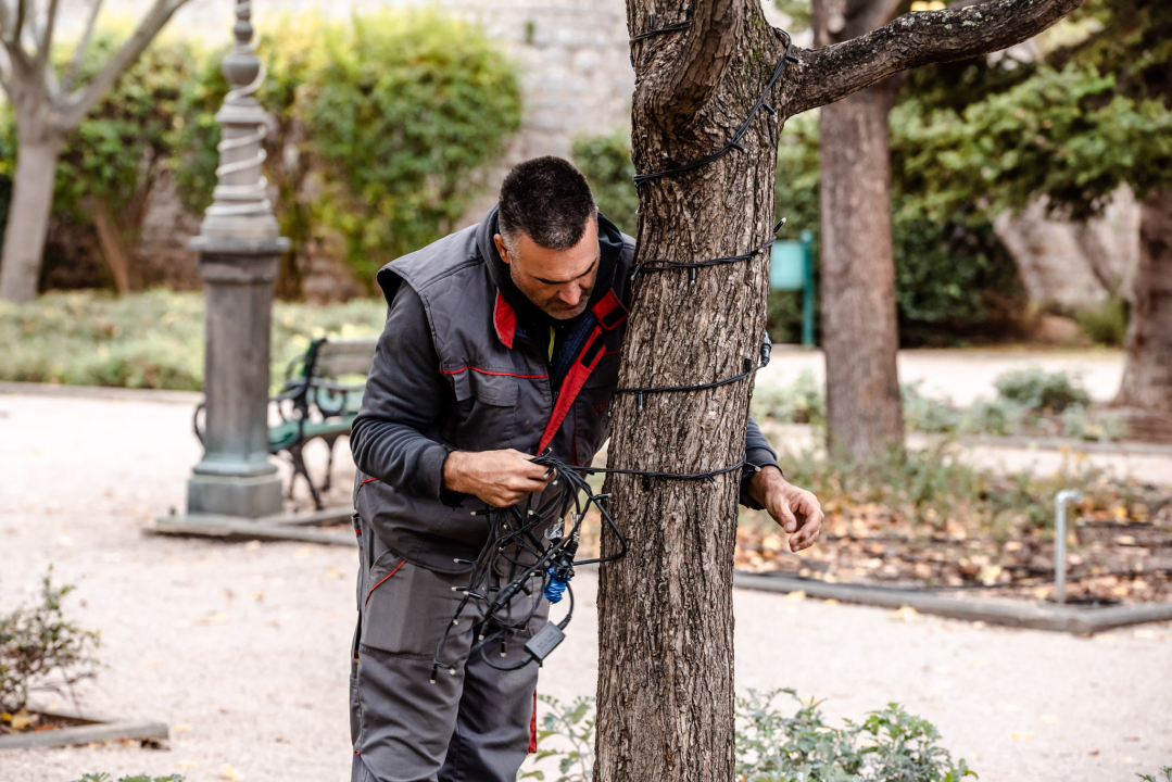 Brojimo sitno do najveselijih dana u godini: Počelo čišćenje i ukrašavanje Đardina  