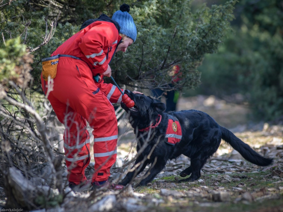 Psi su jako važni u potražnim akcijama, a ovako izgleda trening mladih pasa i štenaca