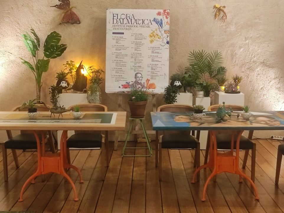 Vikend program festivala Flora Dalmatica: Promocija publikacije i šetnja gradskim parkovima i vrtovima