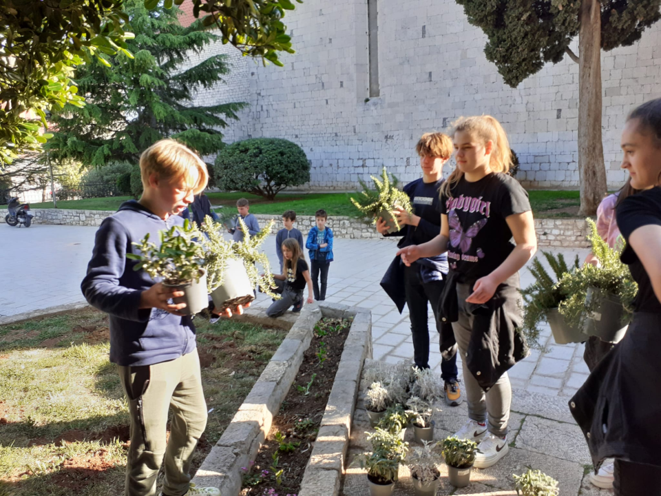 Vikend program festivala Flora Dalmatica: Promocija publikacije i šetnja gradskim parkovima i vrtovima