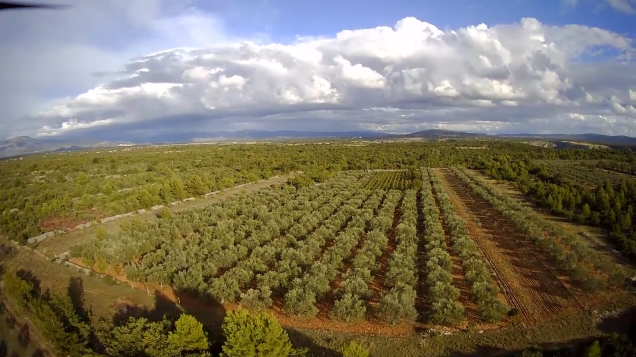 OPG Ivić od hobija postao obiteljski posao prepoznat u svijetu: 'Mnogo je truda i odricanja, ali priznanja daju vjetar u leđa'