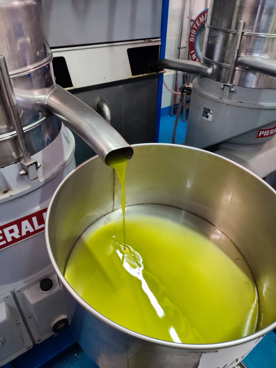 OPG Ivić od hobija postao obiteljski posao prepoznat u svijetu: 'Mnogo je truda i odricanja, ali priznanja daju vjetar u leđa'