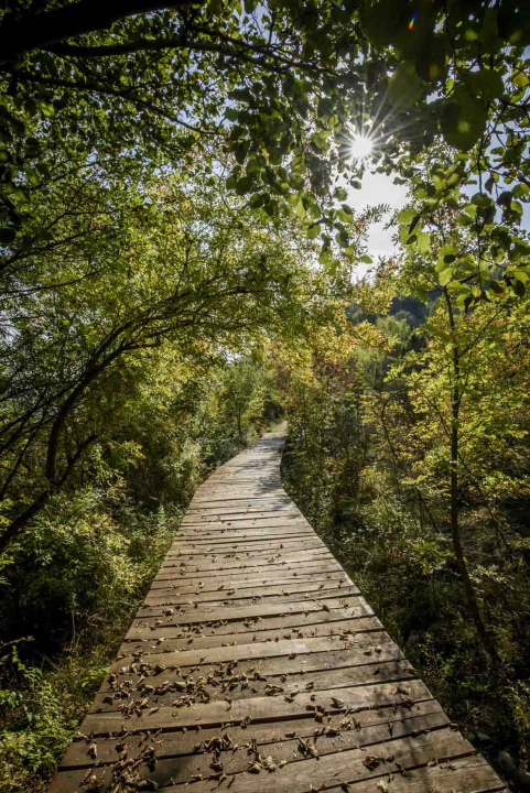 Posjeti NP &quot;Krka&quot; na Praznik rada, preuzmi svoju sadnicu i posadi je za budućnost!