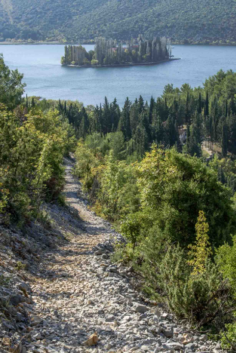Posjeti NP &quot;Krka&quot; na Praznik rada, preuzmi svoju sadnicu i posadi je za budućnost!