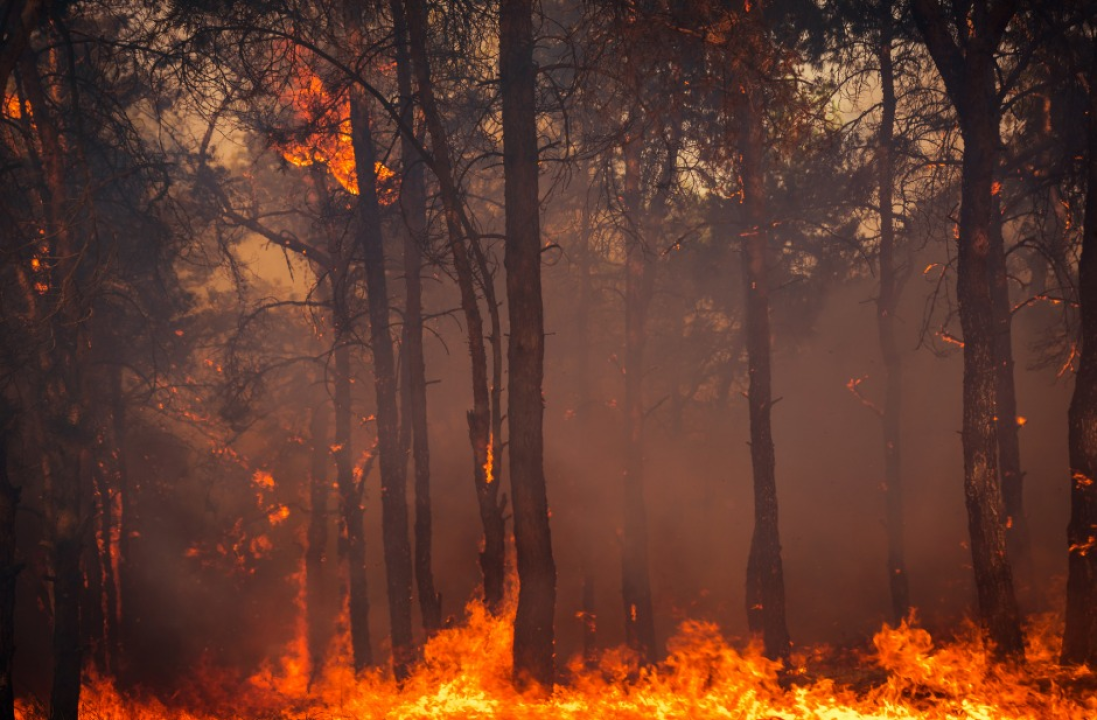 Zahvaljujući projektu FIRESPILL, vatrogasci su spremni za novu sezonu uz suvremenu opremu!