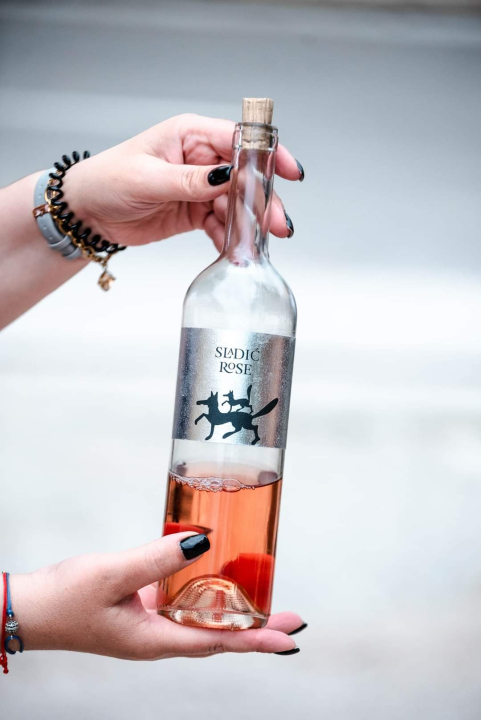 Dani otvorenih kušaonica: Provjerite kako je bilo na Zelenoj ruti od Skradina do Knina 